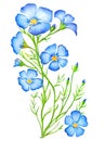 Blue flax flowers watercolor isolated on white background. Generative AI illustration