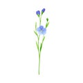 Blue Flax or Linseed Flowers with Five Petals as Cultivated Flowering Plant Specie Vector Illustration