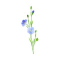 Blue Flax or Linseed Flowers with Five Petals as Cultivated Flowering Plant Specie Vector Illustration