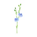 Blue Flax or Linseed Flowers with Five Petals as Cultivated Flowering Plant Specie Vector Illustration