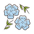 Blue flax plant color icon. Linen wild flower. Spring blossom. Blooming linum wildflower. Isolated vector illustration.