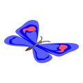 Blue flight butterfly icon, isometric style Royalty Free Stock Photo