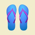 Blue Flip-Flops