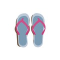 Blue flip flops