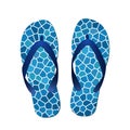 Blue flip flops