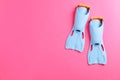 Blue flippers on pink background Royalty Free Stock Photo
