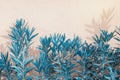 Blue flora. Background with leaves of oleander tree. Copy space