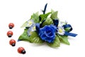 Blue floral decoration with ladybug Royalty Free Stock Photo