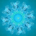 Blue floral ornament mandala background card