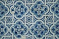 Blue floral pattern hand-painted in baroque style on ceramic tiles