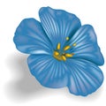 Blue Flower