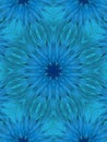 Blue flower abstrak