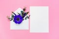 Blue flower in envelope and white sheet on pink background.