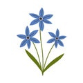 Blue Flower flat icon, plant nature, chamomile sign, a colorful solid pattern on a white background, eps 10.