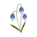 Blue Flower flat icon, plant nature, chamomile sign, a colorful solid pattern on a white background, eps 10.