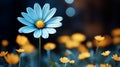 a blue flower is in the middle of a field of yellow flowers