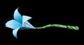 Blue Flower origami black isolated.