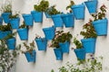 Blue flower pots on a white wall. Mijas Andalusia, Spain. Royalty Free Stock Photo