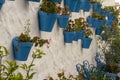 Blue flower pots on a white wall. Mijas Andalusia, Spain. Royalty Free Stock Photo