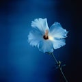 Graceful Balance: A Poetic Interpretation Of A Blue Flower