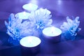 Blue flower and tea candles Royalty Free Stock Photo