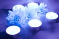 Blue flower and tea candles Royalty Free Stock Photo