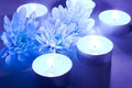 Blue flower and tea candles Royalty Free Stock Photo