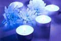Blue flower and tea candles Royalty Free Stock Photo