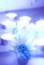 Blue flower and tea candles Royalty Free Stock Photo