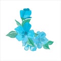 Hand drawing watercolor blue flower ilustration vector