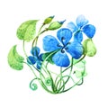 Blue flower. Watercolor floral illustration. Floral decorative element. Vector floral background.