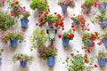 Blue Flowerpots and Red Flowers on a white wall with vintage lan Royalty Free Stock Photo