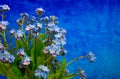 Blue flowers on blue background