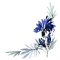 Blue flowers bouquet Royalty Free Stock Photo