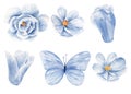 Blue flowers and butterfly watercolor raster illustration set Royalty Free Stock Photo