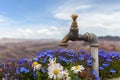 Blue flowers and chamomiles with faucet and blurry mountains in the background. Royalty Free Stock Photo