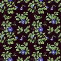 Blue flowers. Climbing clitoria ternatea in full bloom. Seamless pattern. Bending branches of Asian plant. Butterfly pea