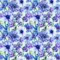 Blue flowers, Cornflowers, anemones and bluebells, watercolor botanical illustration. Seamless patterns.