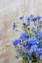 Blue flowers of cornflowers on a wooden light background. High resolution. Banner. Close-up