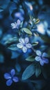 Blue flowers in a dreamy soft focus, nature beauty concept