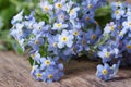 Blue flowers forget-me-not. closeup on wooden