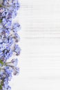 Blue flowers frame on white wooden background Royalty Free Stock Photo