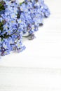 Blue flowers frame on white wooden background Royalty Free Stock Photo