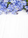 Blue flowers frame on white wooden background Royalty Free Stock Photo