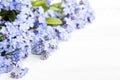 Blue flowers frame on white wooden background Royalty Free Stock Photo