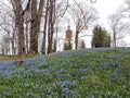 Blue flowers on hill and church tower , Lithuania