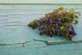 Blue flowers on an old painted wood