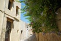 Blue flowers of Plumbago auriculata in the medieval city of Rhodes. Plumbago auriculata is a species of flowering plant. Greece Royalty Free Stock Photo