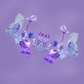 Blue flowers in purple background Royalty Free Stock Photo