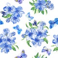 Blue flowers of spring blossom sakura, cherry, apple tree and butterflies. Floral seamless pattern. Watercolor Royalty Free Stock Photo